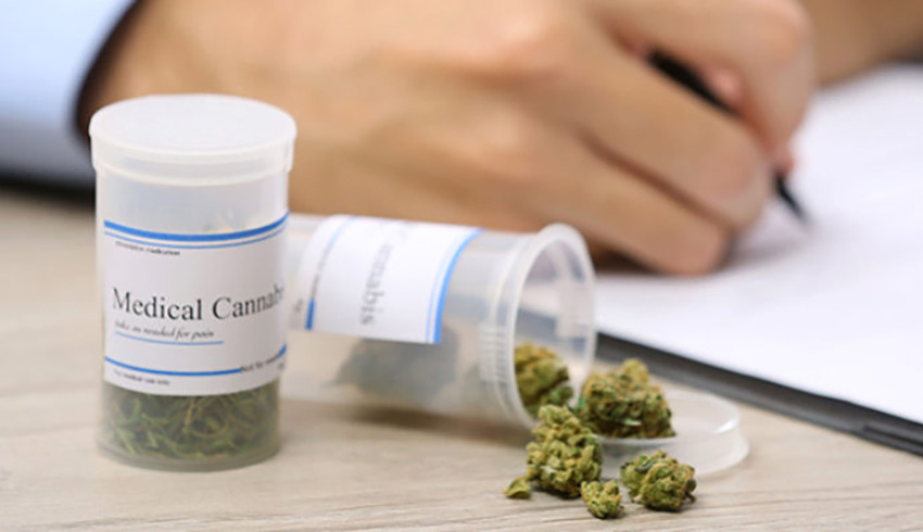 Professionals in Sanitary Regulation for Drugs and Narcotic Drugs