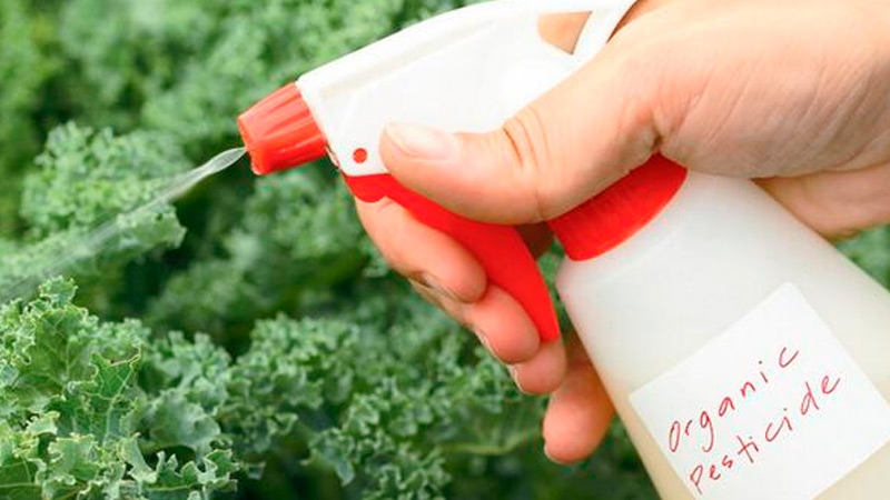 Professionals in Sanitary Regulation for Drugs and Narcotic Drugs