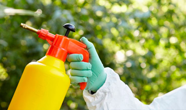 Profesionales en Regulación Sanitaria de Medicamentos y Estupefacientes